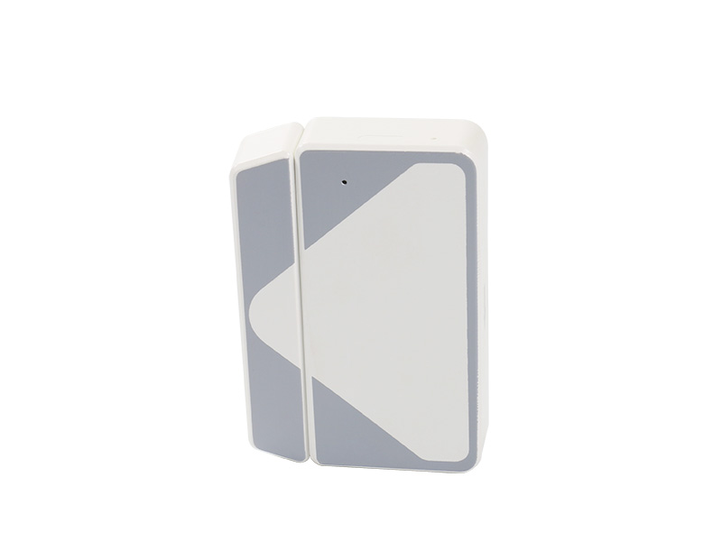 2435-01-still-800x600-262334